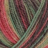 Load image into Gallery viewer, King Cole Yarns Homespun Prism DK
