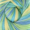 Cascade Yarns Heritage Prints