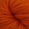 Load image into Gallery viewer, Pumpkin Q63310
