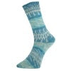 Load image into Gallery viewer, Pro Lana Yarns Fjord Sock
