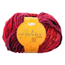 Load image into Gallery viewer, King Cole Yarns Autumn Chunky
