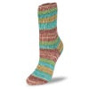 Load image into Gallery viewer, Rellana Garne Flotte Sock 6ply Wellness
