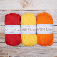 Load image into Gallery viewer, Cascade Yarns Anthem DK
